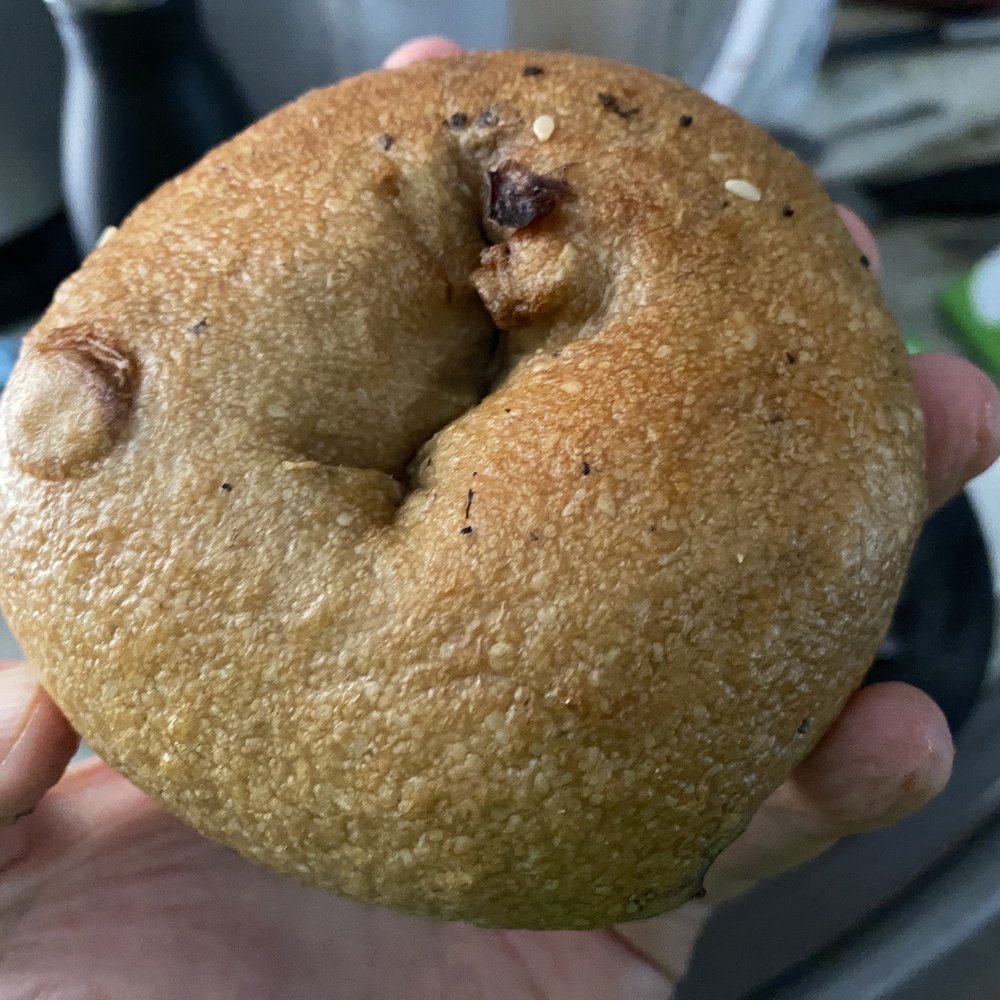 Native Bagel Company - Bagels Near Me - Berea, Kentucky Native Bagel Company - Bagels Near Me - Berea, Kentucky