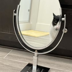 Redwood Glass - Restored mirror!