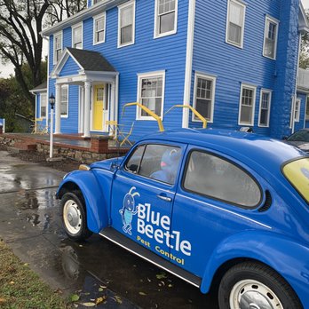 Blue Beetle Pest Control - Now Hiring! Premium training at our new training academy - Pest Control Near Me - Leawood, Kansas
