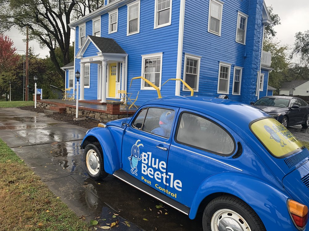 BLUE BEETLE PEST CONTROL Updated October 2024 10 Photos & 39