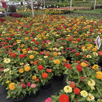 Perennials Plus - Nurseries & Gardening Near Me - Westfield, Indiana