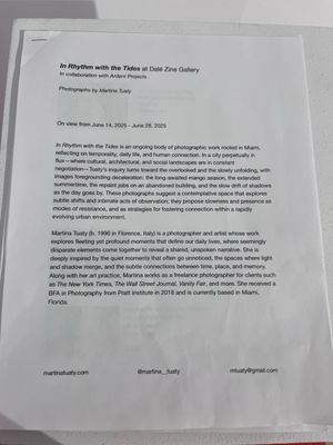 Dale Zine by null