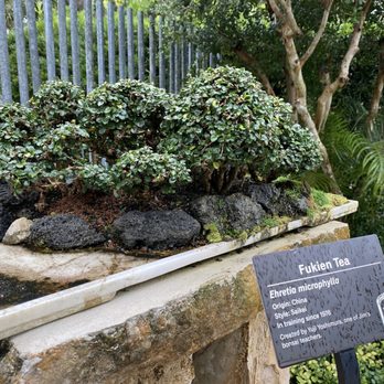 THE Best 10 BOTANICAL GARDENS in PORT SAINT LUCIE, FL - Last Updated