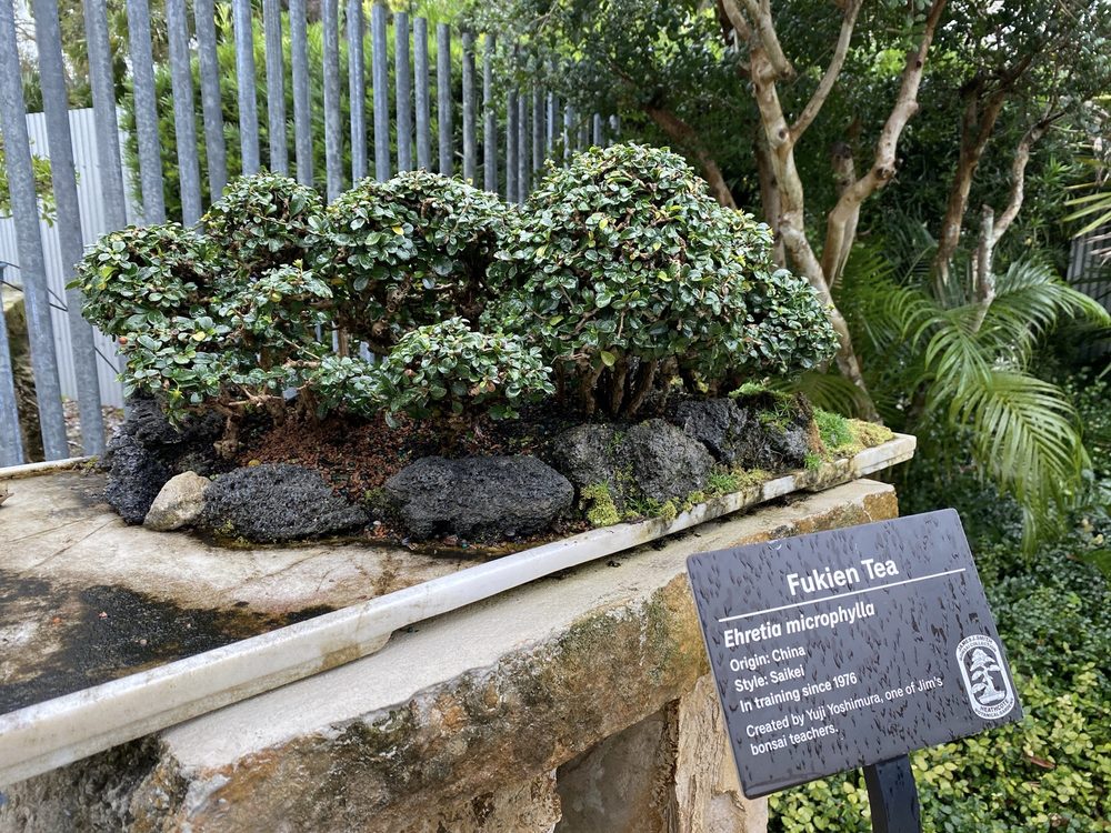 Heathcote Botanical Gardens Image