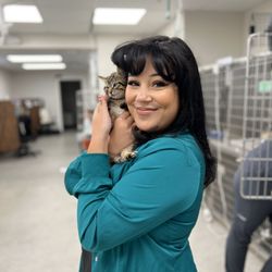 Meriden Animal Hospital