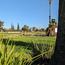 Cottonwood Golf Center - Hole 8