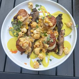 Scallops