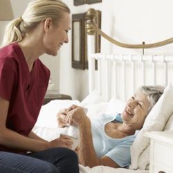 Bee Loved Home Care