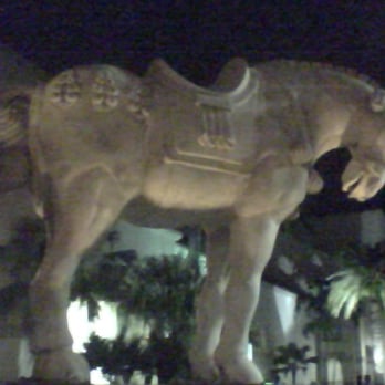 P.F. Chang's - Chinese Near Me - Miami, Florida