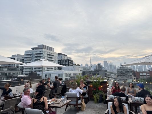 The Broadview Hotel by null