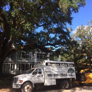 Houston Arbor Care Tree Service 13 Photos 15 Reviews Tree Services Katy Tx Phone Number