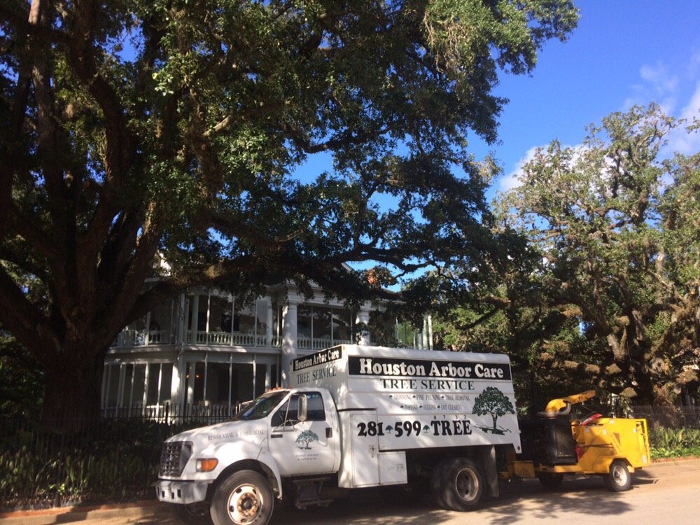 HOUSTON ARBOR CARE TREE SERVICE 13 Photos &amp; 14 Reviews