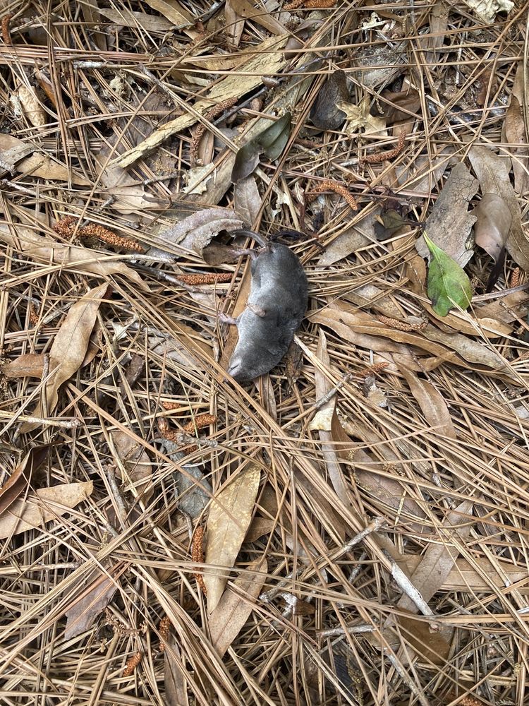 THE CARLYLE AT PERIMETER Updated August 2024 Request Information