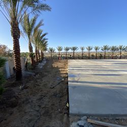 Green Season Landscaping - Tons of palms planted irrigation next up