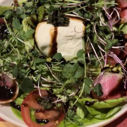 Der Garten Bistro - Homemade burrata salad with homemade pesto, microgreens and marinated radish and carrot