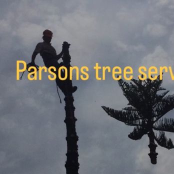 Parsons Tree Service - 15 years ago me and the Norfolk Island pine ! - Landscaping Near Me - Hollywood, Florida Parsons Tree Service - 15 years ago me and the Norfolk Island pine ! - Landscaping Near Me - Hollywood, Florida