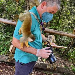 Monkey Jungle - Hubby & the Spider Monkeys