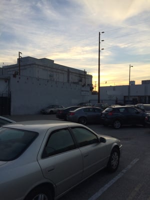 Los Angeles Fish Co by null