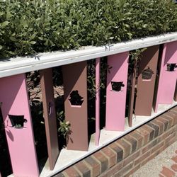 Sweet Bites - Cute fencing