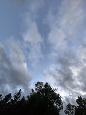 Newport State Park by null