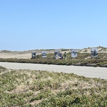 Sunset Dunes - Photography display - Parks Near Me - San Francisco, California