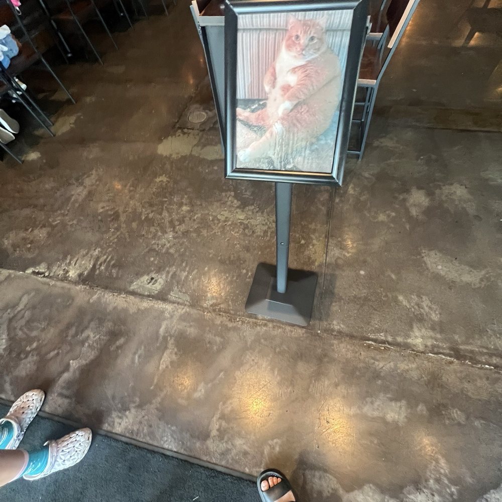 JINYA Ramen Bar - Katy - This was so cute and great to be greeted with hehe - Ramen Near Me - Katy, Texas JINYA Ramen Bar - Katy - This was so cute and great to be greeted with hehe - Ramen Near Me - Katy, Texas