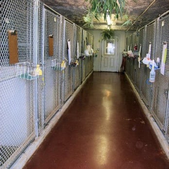 Hideaway Kennel - Qozy Quarters - Pet Boarding Near Me - Granite Falls, North Carolina Hideaway Kennel - Qozy Quarters - Pet Boarding Near Me - Granite Falls, North Carolina
