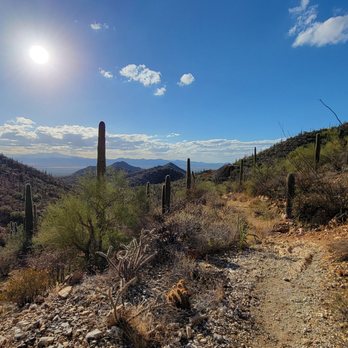 Saguaro National Park - Parks Near Me - Tucson, Arizona Saguaro National Park - Parks Near Me - Tucson, Arizona