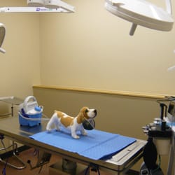 Blue Spruce Animal Clinic - Our modern surgical suite