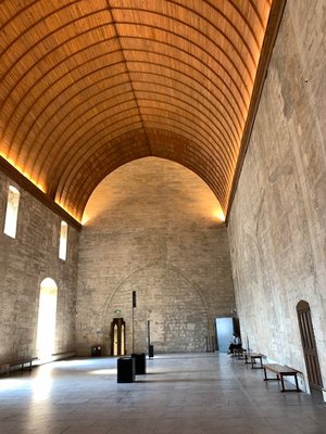 Musée du Petit Palais by null