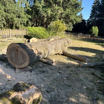 Tree Carex - Logs on the front porch - Tree Services Near Me - Battle Ground, Washington Tree Carex - Logs on the front porch - Tree Services Near Me - Battle Ground, Washington