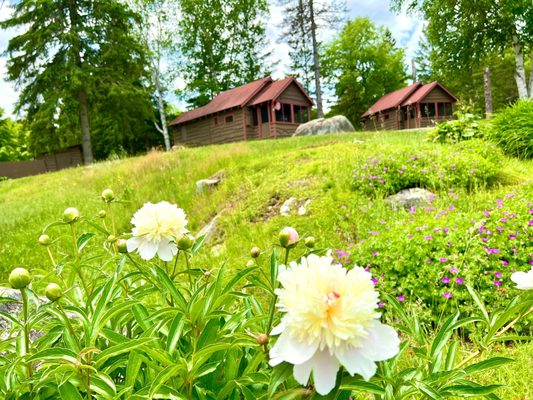 Adirondack Lake Cabins by null