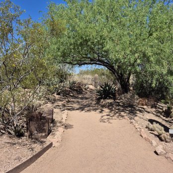 Desert Botanical Garden - Botanical Gardens Near Me - Phoenix, Arizona