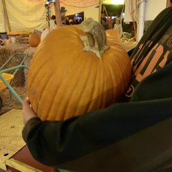 Gary's Berries - Picked our pumpkin!