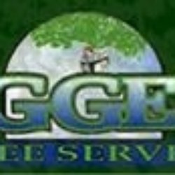 Diggers Tree Service