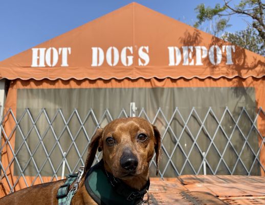 Hot Dogs Depot by null