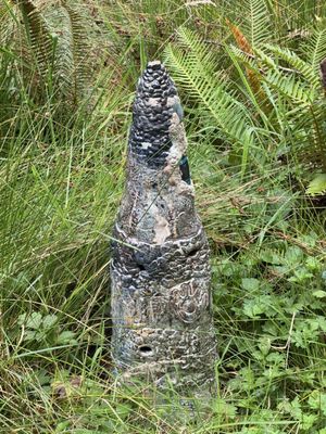 Willapa National Wildlife Refuge by null