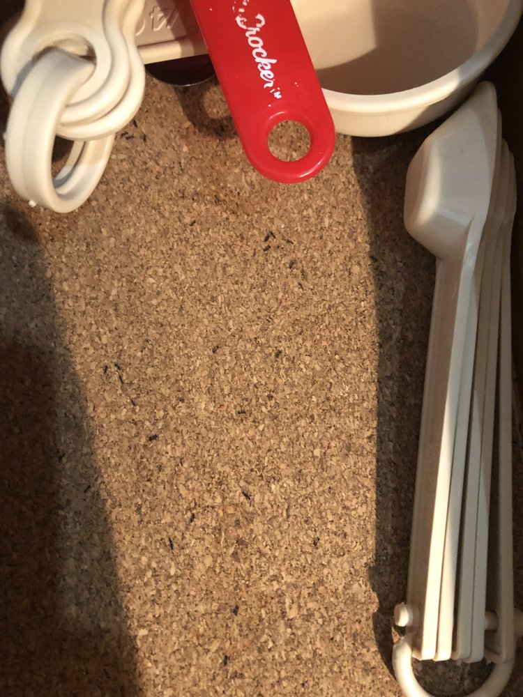 SEACHANGE VACATION RENTALS Updated September 2024 20 Baltimore Ave