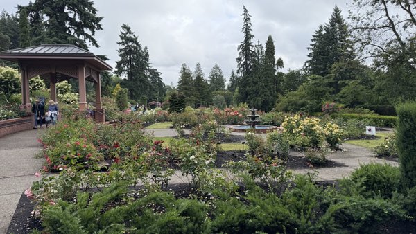 Washington Park by null