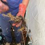 Photo of One Way Rooter Services