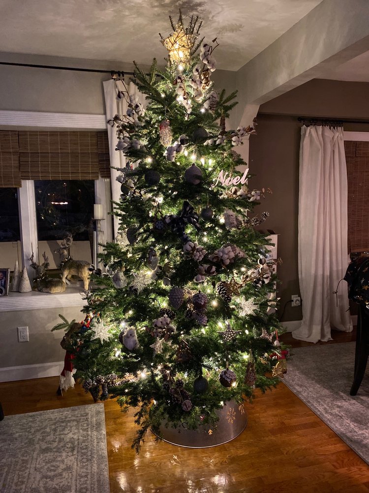 ANTHONY GALLO NURSERY Updated September 2024 63 Photos & 68 Reviews