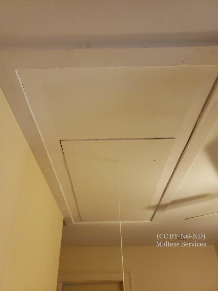 Slide of Maltese Services