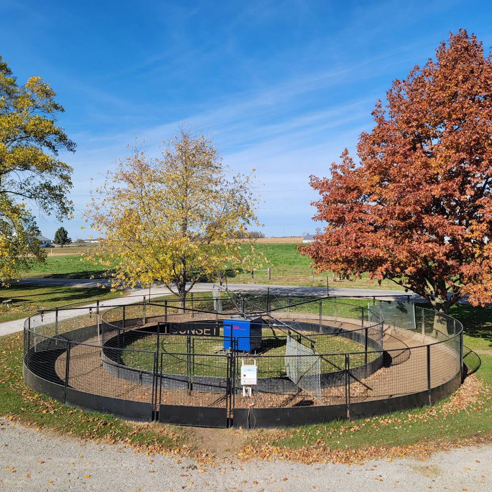 Legacy Stables - equestrian in Ligonier, IN