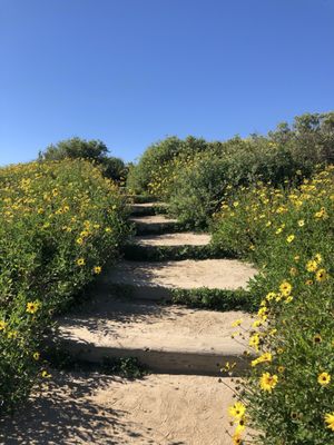 Wetlands & Wildlife Care Center by null