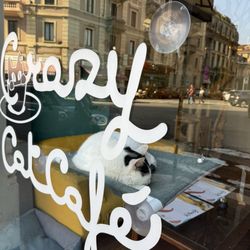 Crazy Cat Café - Front