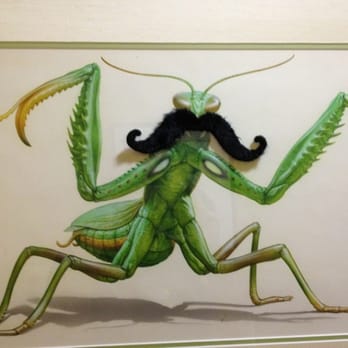 Dave's Chillin and Grillin - Mustache grasshopper - Sandwiches Near Me - Pasadena, California