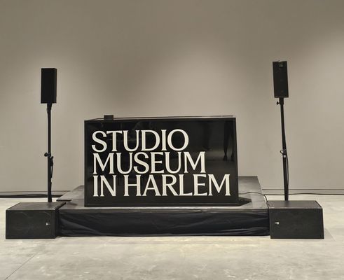 The Studio Museum in Harlem by null