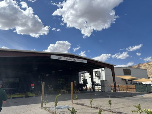 The Ordinary Fellow by null