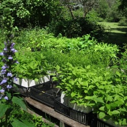 The Native Plant Nursery LLC