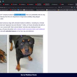 Blue Ridge Kennel